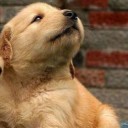 สมาชิกหมายเลข 3023763