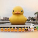 สมาชิกหมายเลข 2488870