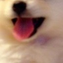 สมาชิกหมายเลข 766042