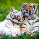 สมาชิกหมายเลข 1828956