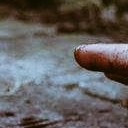 สมาชิกหมายเลข 2222533