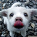 สมาชิกหมายเลข 794624