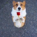 สมาชิกหมายเลข 1349793