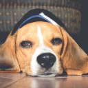 สมาชิกหมายเลข 3478771