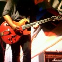 หมาน้อยขนยาวสีน้ำตาลเข็ม