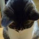 สมาชิกหมายเลข 701342