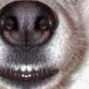 สมาชิกหมายเลข 1812460