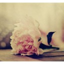 สมาชิกหมายเลข 1812527