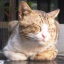 สมาชิกหมายเลข 1812550