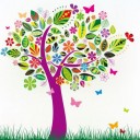 สมาชิกหมายเลข 1564146