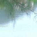 สมาชิกหมายเลข 1935713