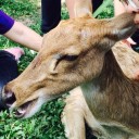 สมาชิกหมายเลข 1614029