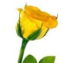 สมาชิกหมายเลข 983896