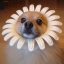 เรียกพี่_ได้ไหม๊