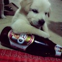 สมาชิกหมายเลข 1498817