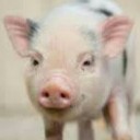 สมาชิกหมายเลข 1812753