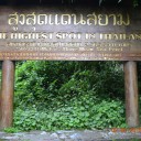 สิงห์น้ำเงินคราม