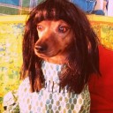 แทะไก่ในตู้เย็น