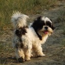 ข้าวต้มมัด_หมูตอน