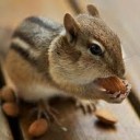 สมาชิกหมายเลข 984590