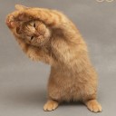 สมาชิกหมายเลข 984633