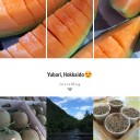 สมาชิกหมายเลข 1359931