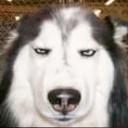 ระเบิดภูเขา เผากระท่อม