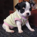 สมาชิกหมายเลข 1477926