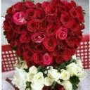 สมาชิกหมายเลข 1662799