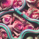 สมาชิกหมายเลข 960767