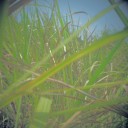 สมาชิกหมายเลข 2223888