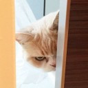 สมาชิกหมายเลข 2685736