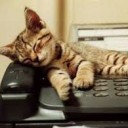 สมาชิกหมายเลข 3026433