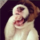 สมาชิกหมายเลข 898945