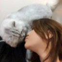 กวีขี่แจ๊ส