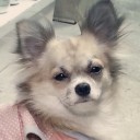 สมาชิกหมายเลข 795813