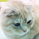 กินนรีสีรุ้ง