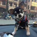 สมาชิกหมายเลข 986083