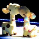 สมาชิกหมายเลข 986269