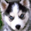 สมาชิกหมายเลข 2224994