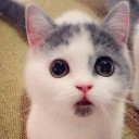 สมาชิกหมายเลข 2204011