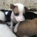 สมาชิกหมายเลข 3153826