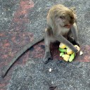 สมาชิกหมายเลข 987102