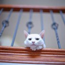 สมาชิกหมายเลข 2225683