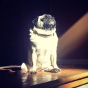 สมาชิกหมายเลข 1516957