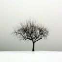 สมาชิกหมายเลข 719031