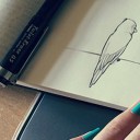 สมาชิกหมายเลข 1887641