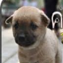 สมาชิกหมายเลข 3028347