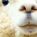 สมาชิกหมายเลข 3483631