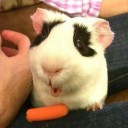 สมาชิกหมายเลข 1381865